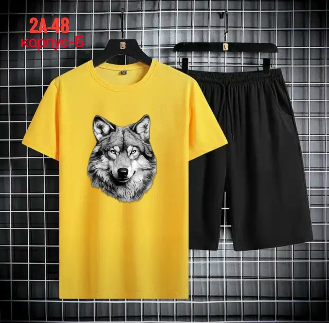 спортивные мужские костюмы,спортивные костюм,футболки комплект,,одежда комплект