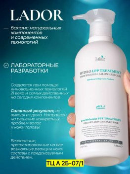 Одежда