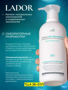 Одежда