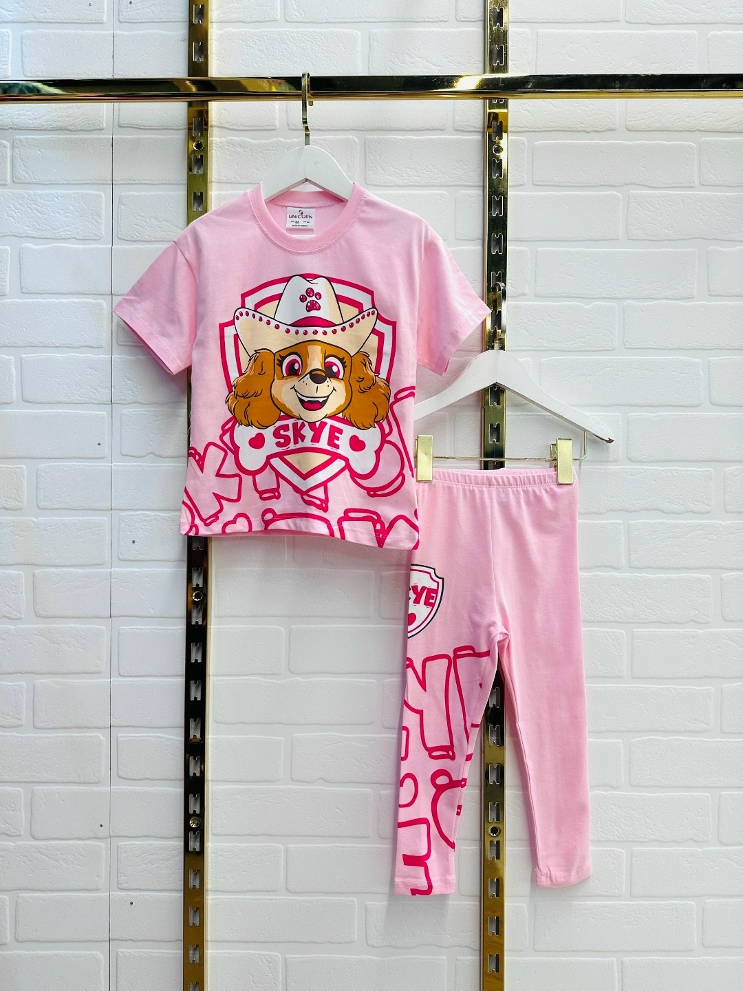 скай щенячий патруль,щенячий патруль костюм,пижама для девочек,пижама paw patrol,комплект одежды девочке