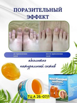 Одежда
