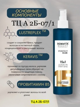 Одежда