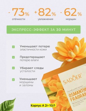 Одежда