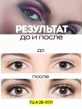 Одежда