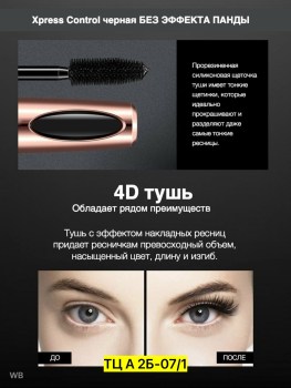 Одежда
