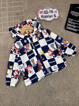 Верхняя одежда