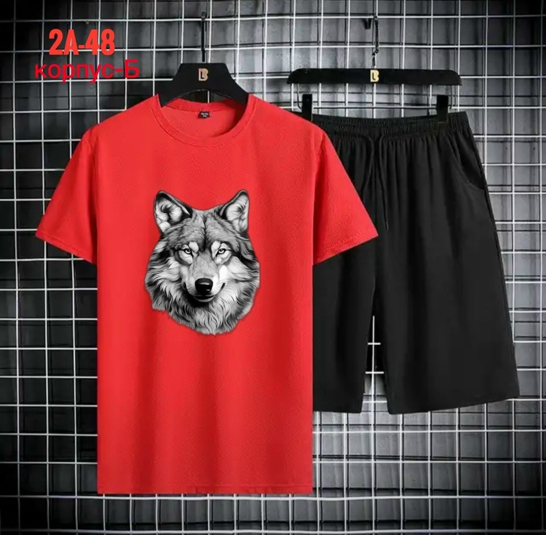 спортивные мужские костюмы,спортивные костюм,футболки комплект,,одежда комплект