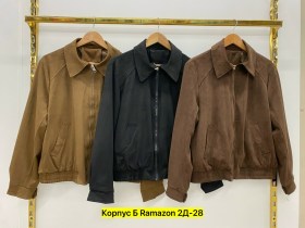 Верхняя одежда