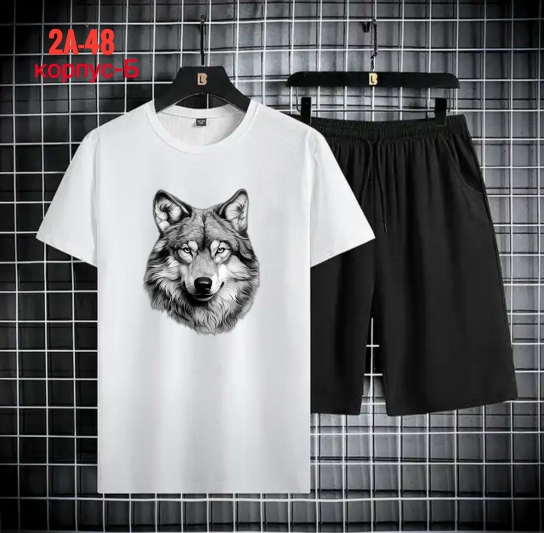 спортивные мужские костюмы,спортивные костюм,футболки комплект,,одежда комплект