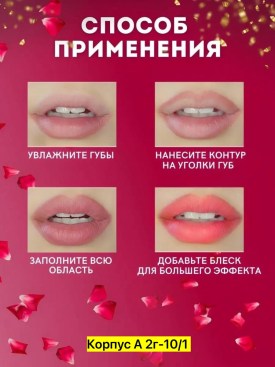 Одежда