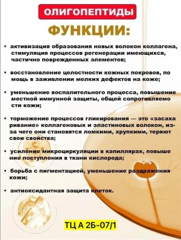 Одежда