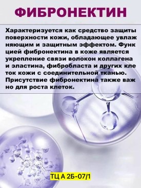 Одежда