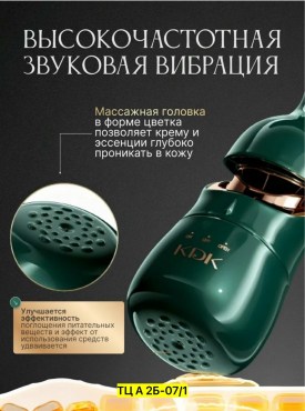 Одежда