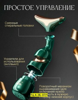 Одежда
