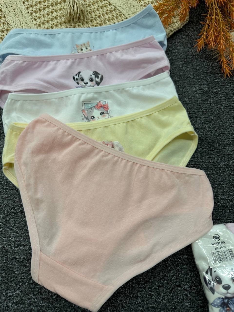 трусы для девочки,комплект трусов слипы donella для девочек,комплект трусов слипы для девочек 5 шт,трусы для девочек donella,трусы детские donella dn415046