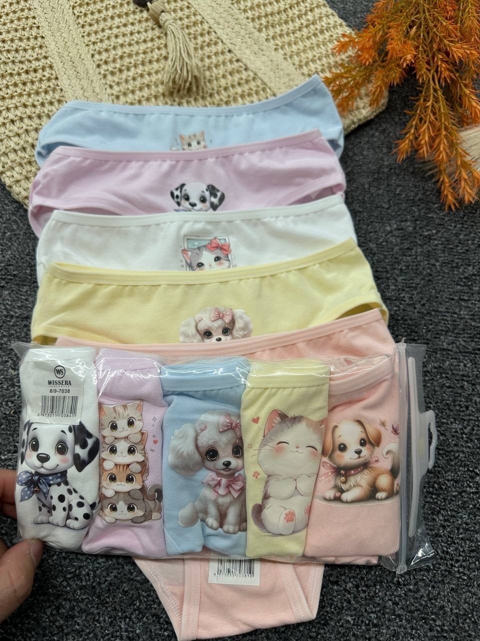 трусы для девочки,комплект трусов слипы donella для девочек,комплект трусов слипы для девочек 5 шт,трусы для девочек donella,трусы детские donella dn415046