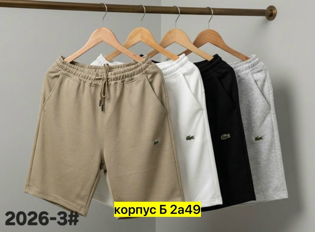 шорты polo ralph lauren,мужские шорты,шорты ralph lauren,спортивные шорты,шорты для мужчин