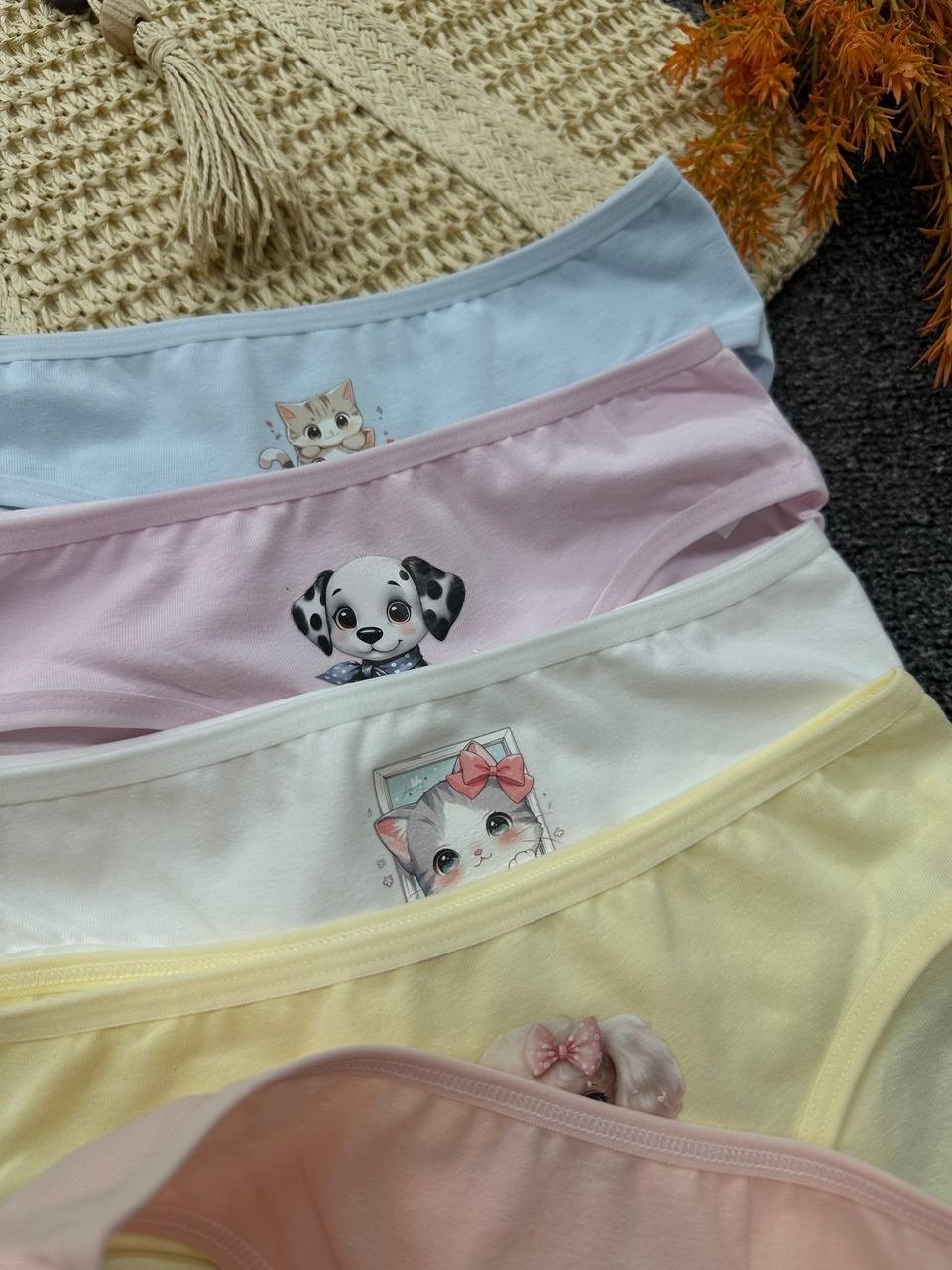 трусы для девочки,комплект трусов слипы donella для девочек,комплект трусов слипы для девочек 5 шт,трусы для девочек donella,трусы детские donella dn415046