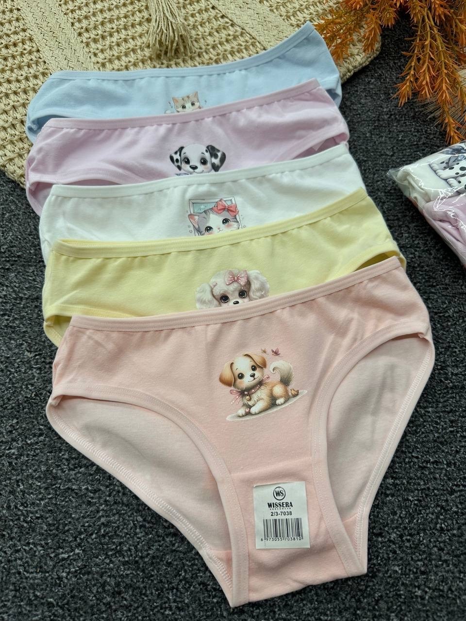 трусы для девочки,комплект трусов слипы donella для девочек,комплект трусов слипы для девочек 5 шт,трусы для девочек donella,трусы детские donella dn415046