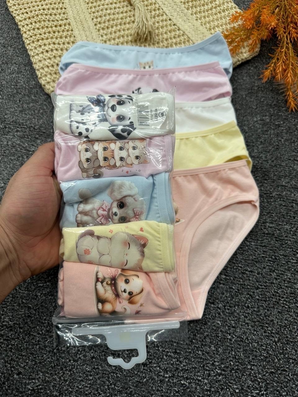 трусы для девочки,комплект трусов слипы donella для девочек,комплект трусов слипы для девочек 5 шт,трусы для девочек donella,трусы детские donella dn415046