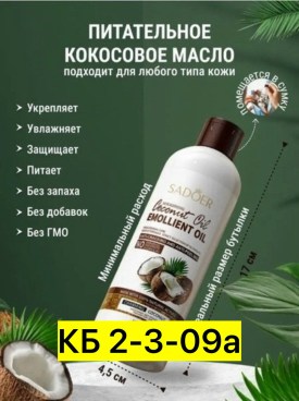 Одежда