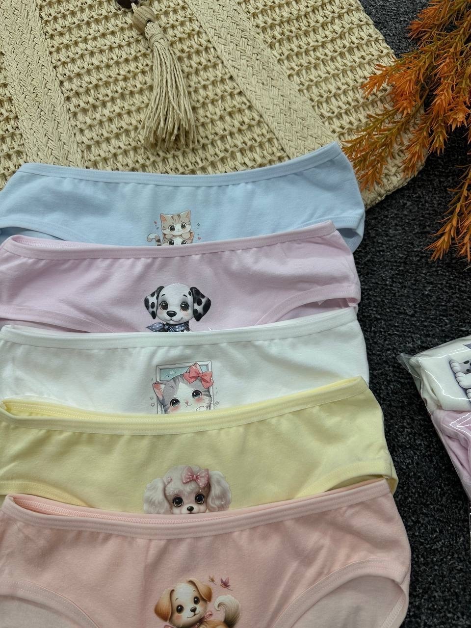 трусы для девочки,комплект трусов слипы donella для девочек,комплект трусов слипы для девочек 5 шт,трусы для девочек donella,трусы детские donella dn415046