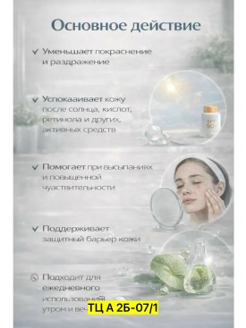 Одежда