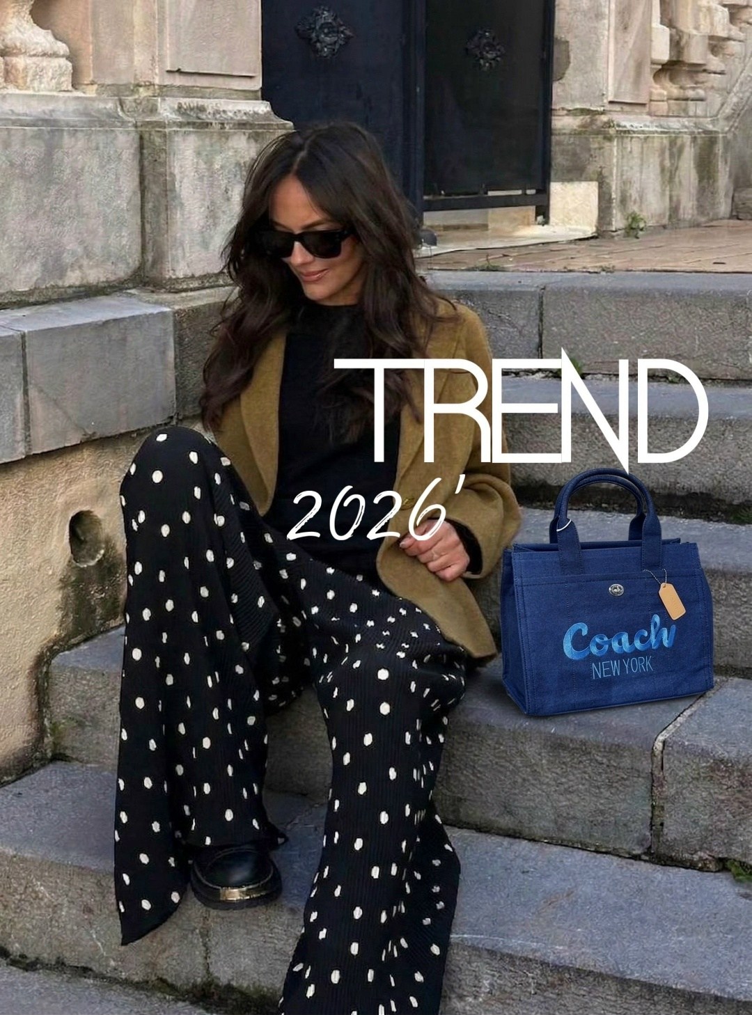 модная сумка,сумка 2025 тренды,женские сумки бренды,брендовые недорогие сумки,мода стиль