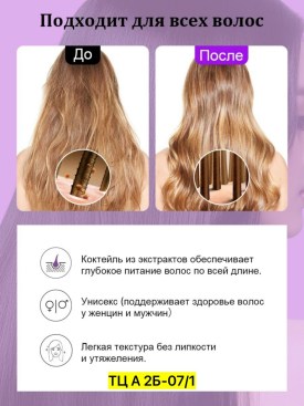 Одежда
