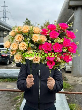 Одежда