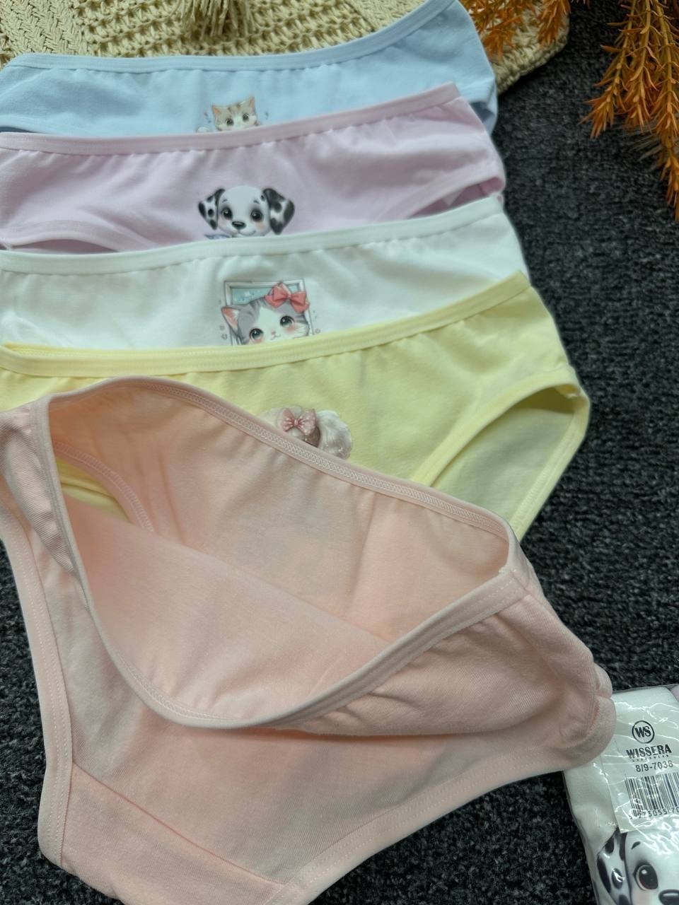 трусы для девочки,комплект трусов слипы donella для девочек,комплект трусов слипы для девочек 5 шт,трусы для девочек donella,трусы детские donella dn415046