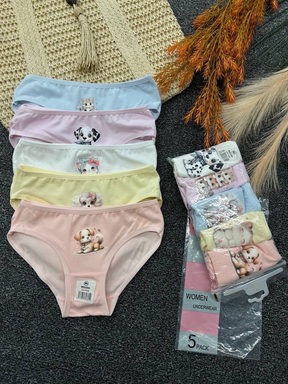 трусы для девочки,комплект трусов слипы donella для девочек,комплект трусов слипы для девочек 5 шт,трусы для девочек donella,трусы детские donella dn415046