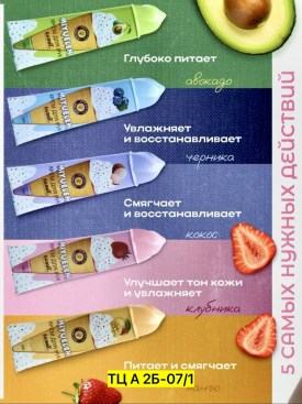 Одежда