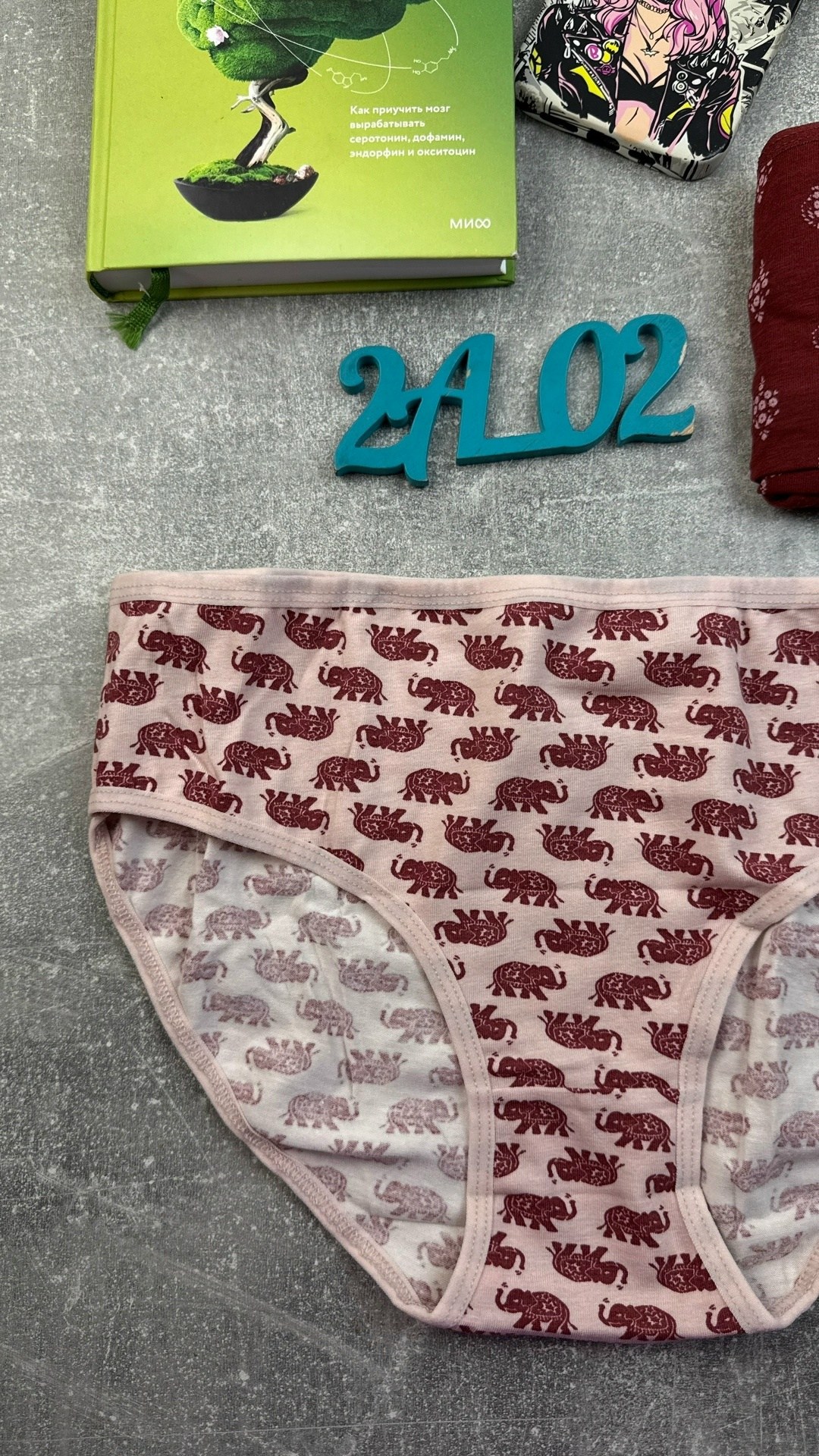 трусы для женщин,слипы женские трусы,комплект трусов,женские трусы,комплект трусов слипы