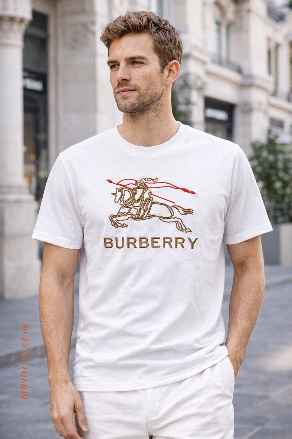 burberry футболка,футболка burberry черный,burberry shirt,мужская футболка burberry,burberry одежда