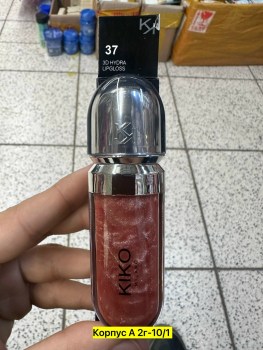 Одежда