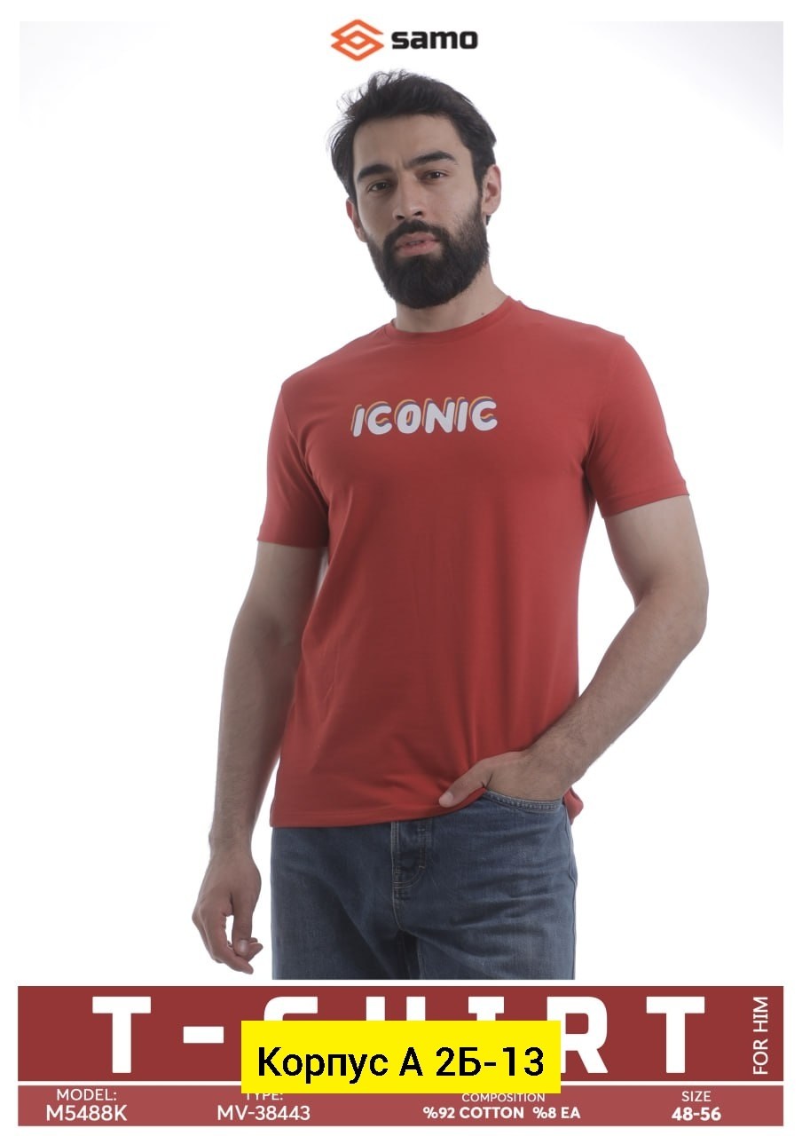 Мужская одежда