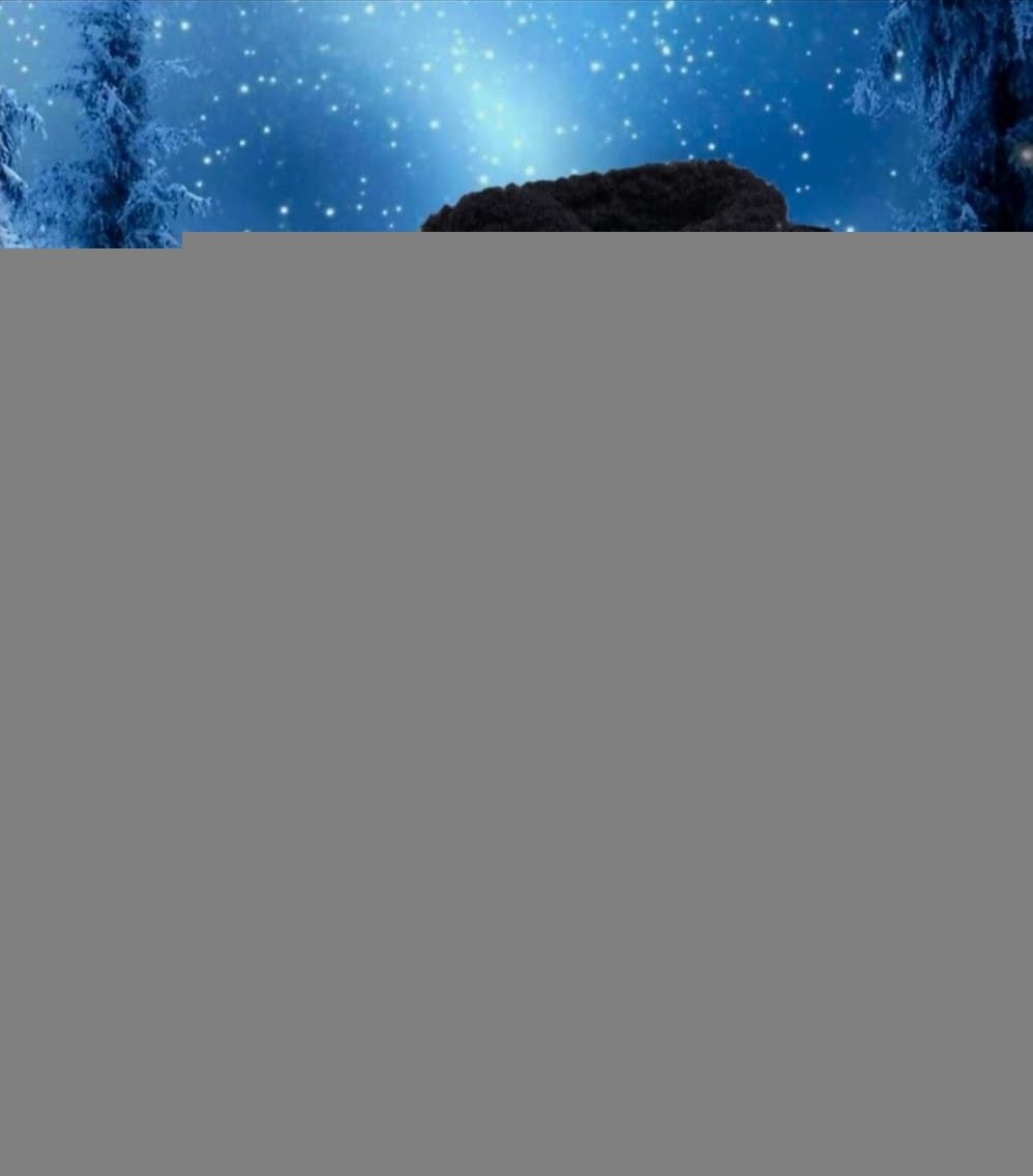 зимний лес,пейзаж зимний,снежный зимний лес ночью,сказочный зимний лес,волшебный зимний лес