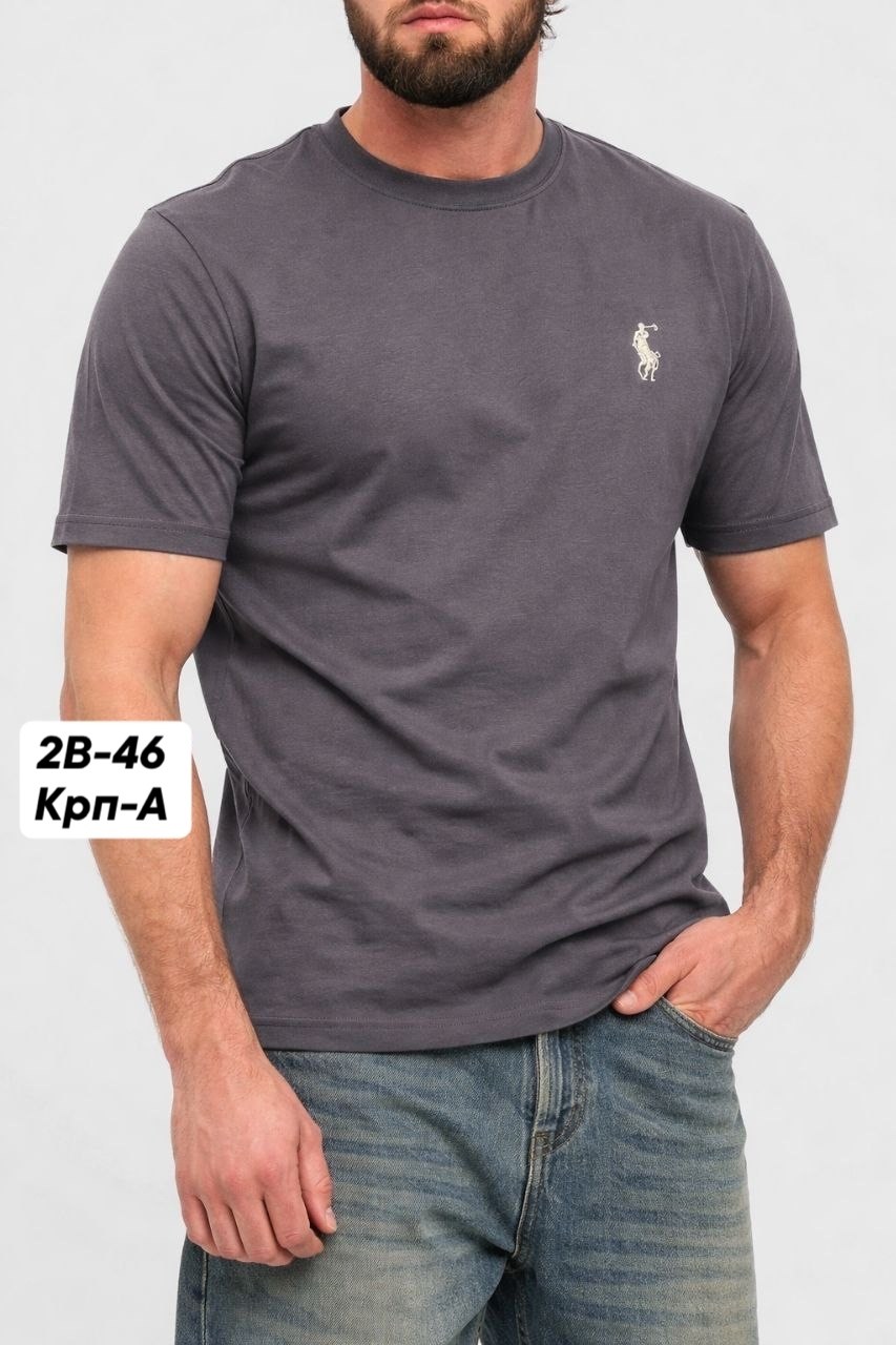 футболки polo ralph lauren,мужская футболка,ральф лорен футболка,polo ralph lauren polo,футболка ральф лаурен