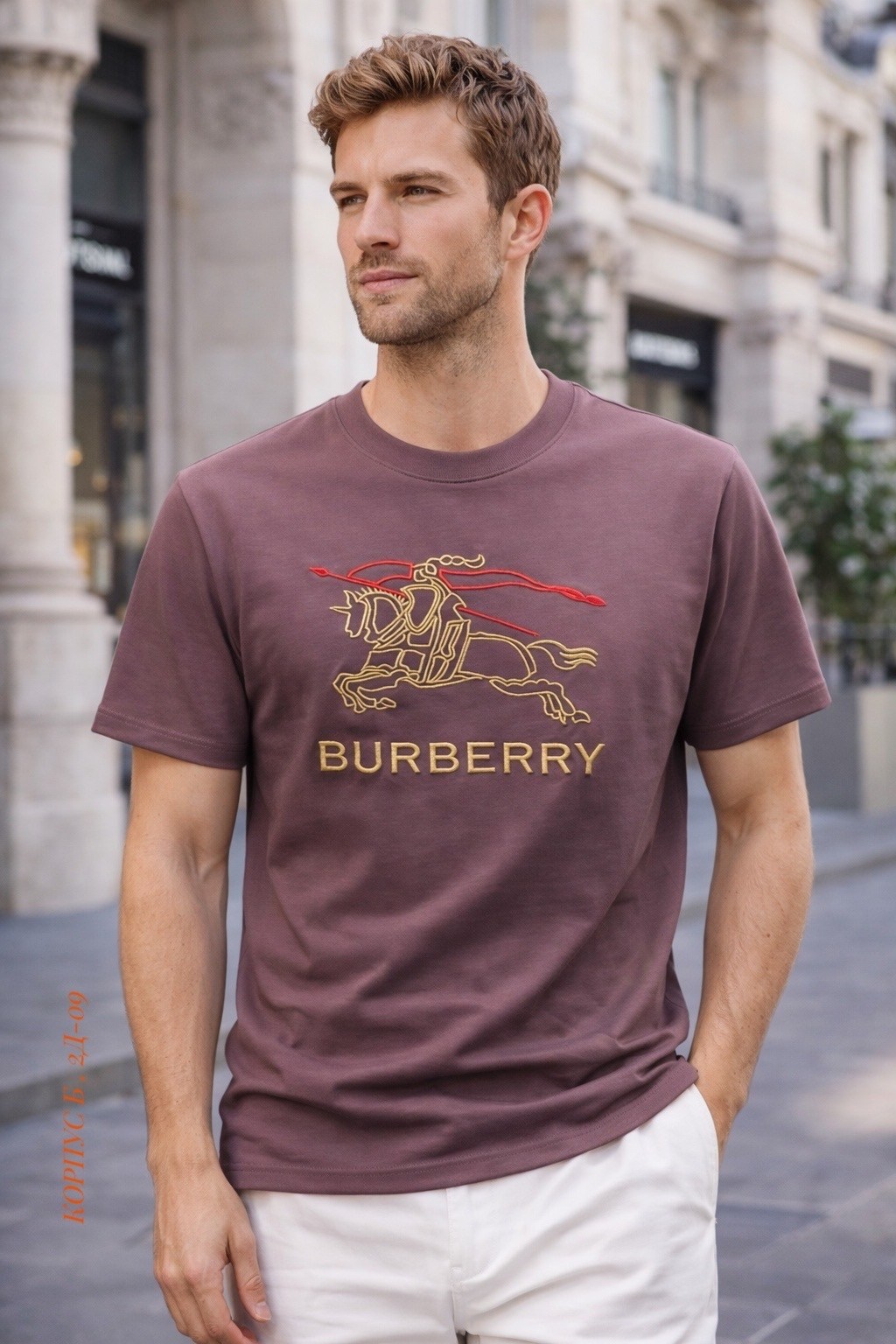 burberry футболка,футболка burberry черный,burberry shirt,мужская футболка burberry,burberry одежда