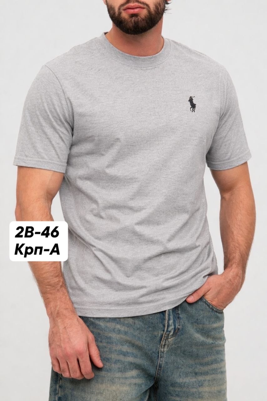 футболки polo ralph lauren,мужская футболка,ральф лорен футболка,polo ralph lauren polo,футболка ральф лаурен