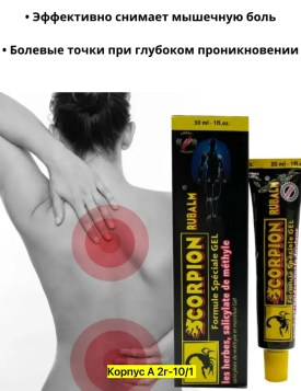 Одежда