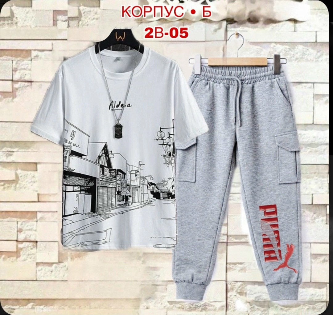 костюм спортивный мужской,костюм мужской,спорт костюм,костюм летний мужской,костюм для мужчин