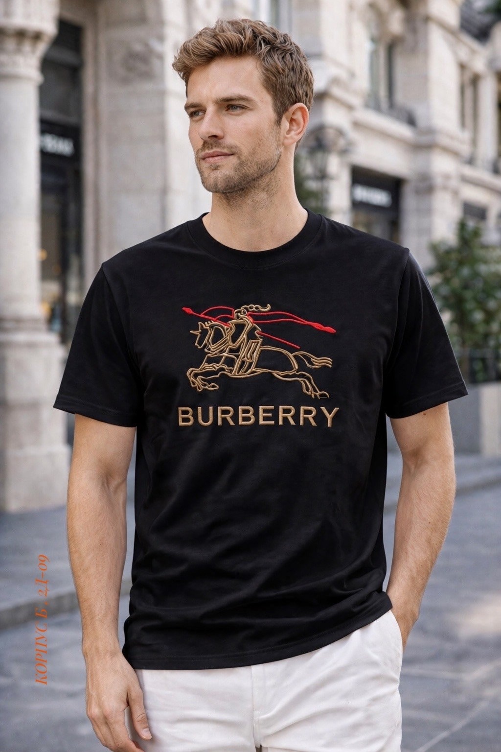 burberry футболка,футболка burberry черный,burberry shirt,мужская футболка burberry,burberry одежда