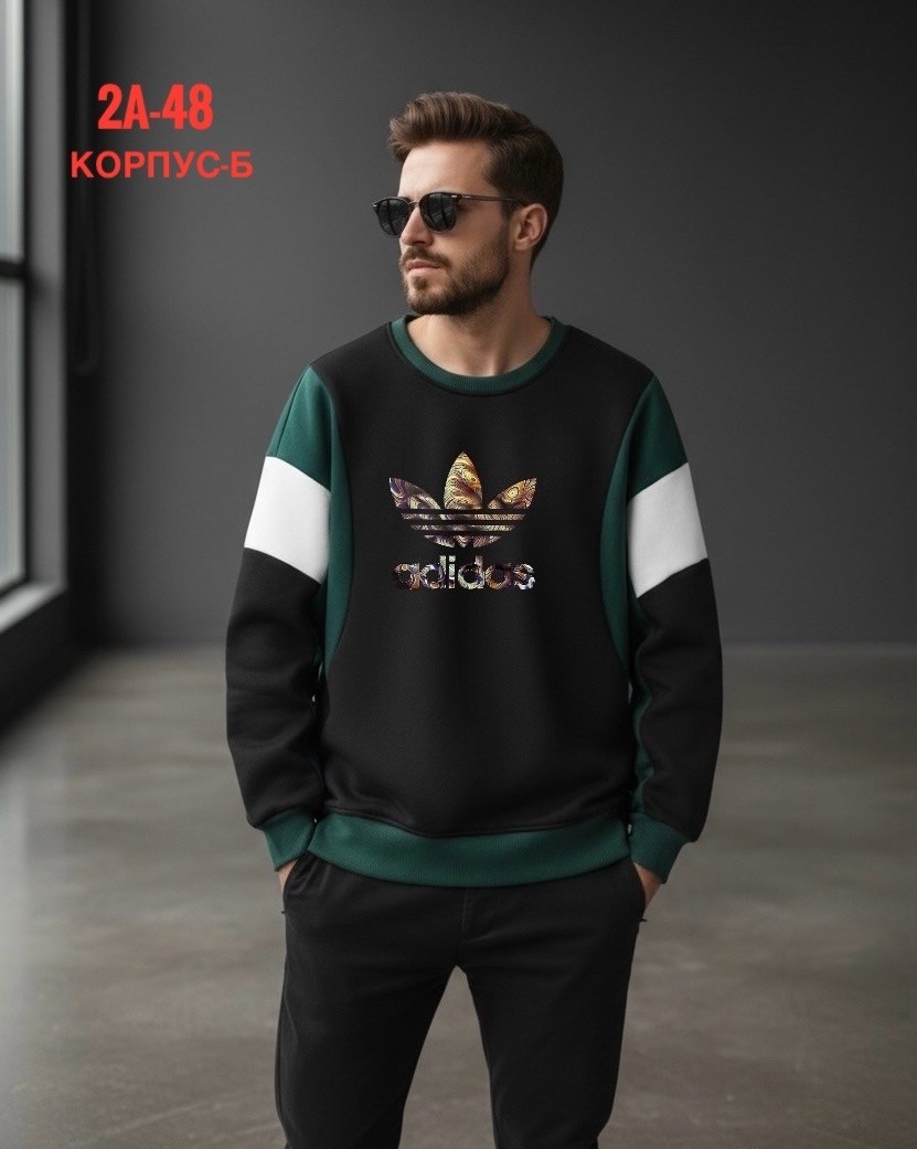 повседневный свитшот,свитшот мужской,спортивные свитшоты,мужские свитшоты,толстовки свитшот