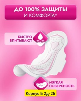 Одежда