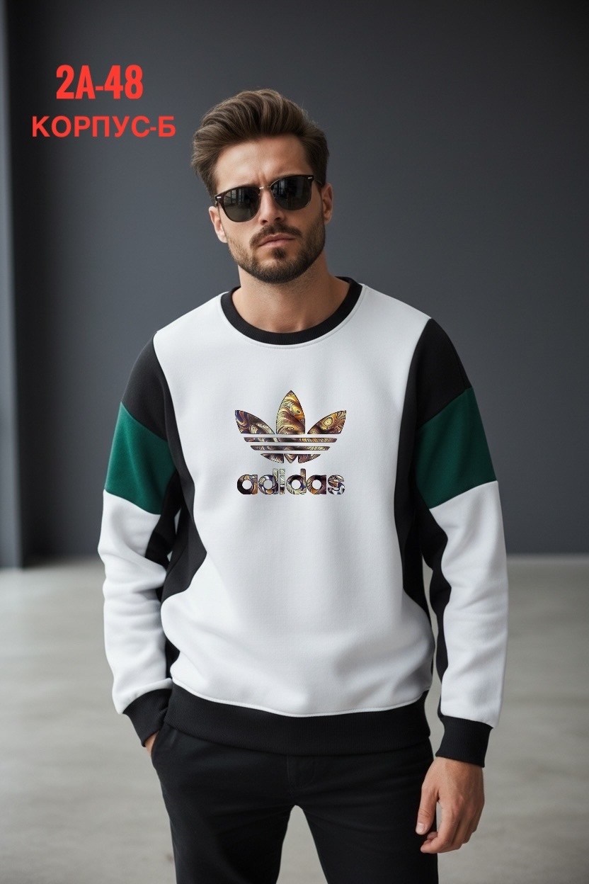 повседневный свитшот,свитшот мужской,спортивные свитшоты,мужские свитшоты,толстовки свитшот