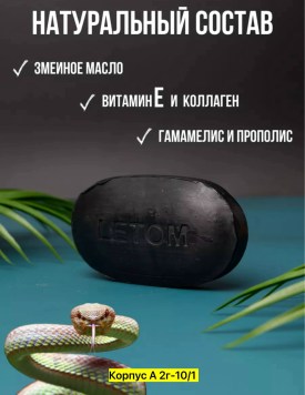 Одежда