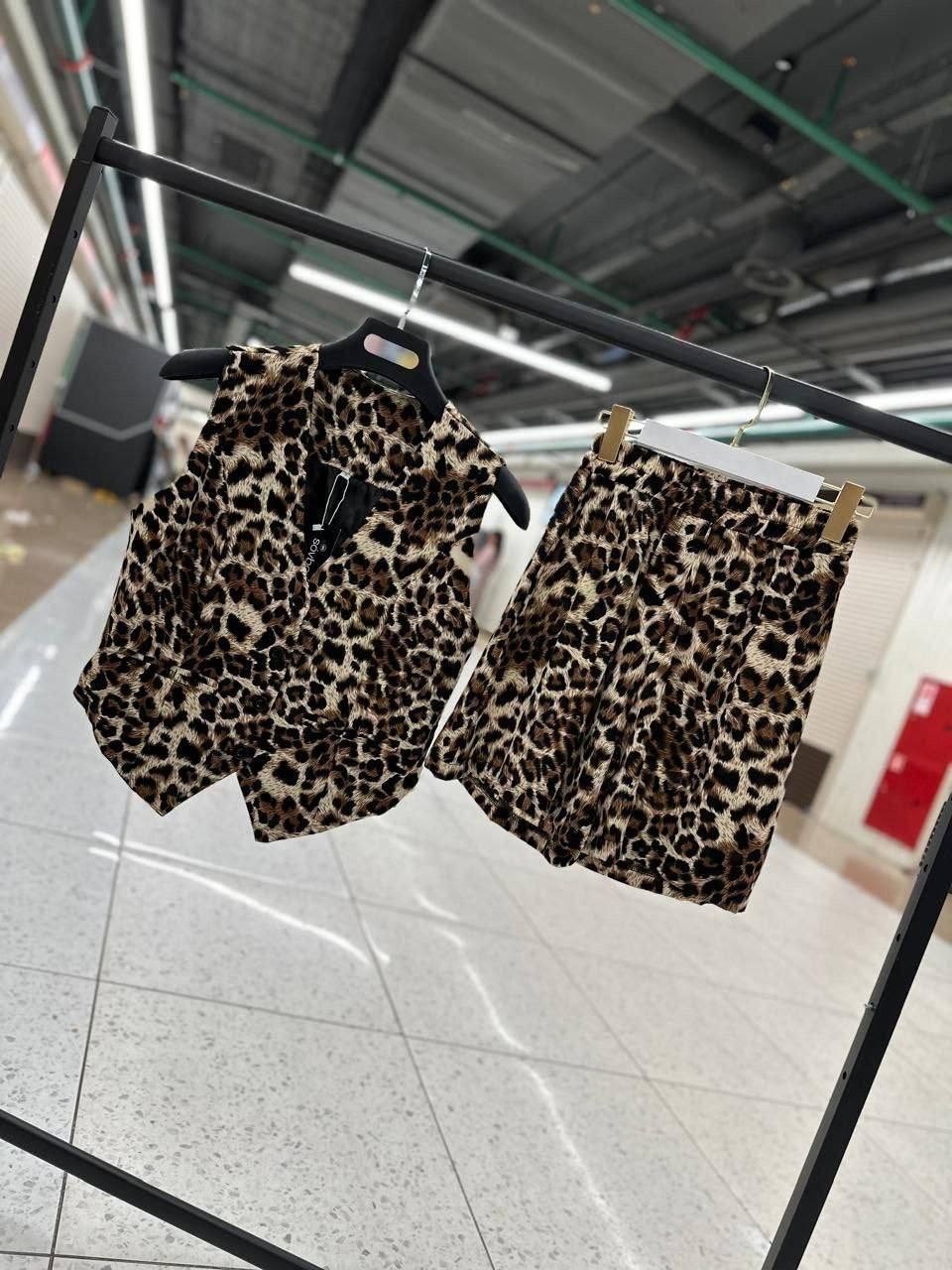 леопард,красивый леопард,домашний леопард,животное леопард,коллекция леопард