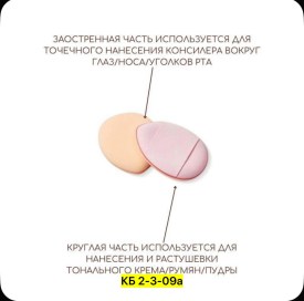 Одежда